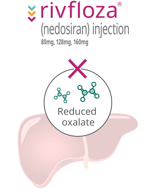 Rivfloza® in the liver illustration