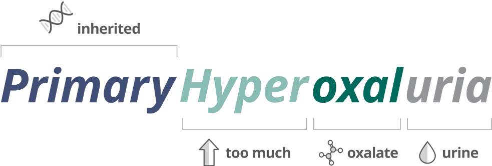 Primary Hyperoxaluria definition broken down